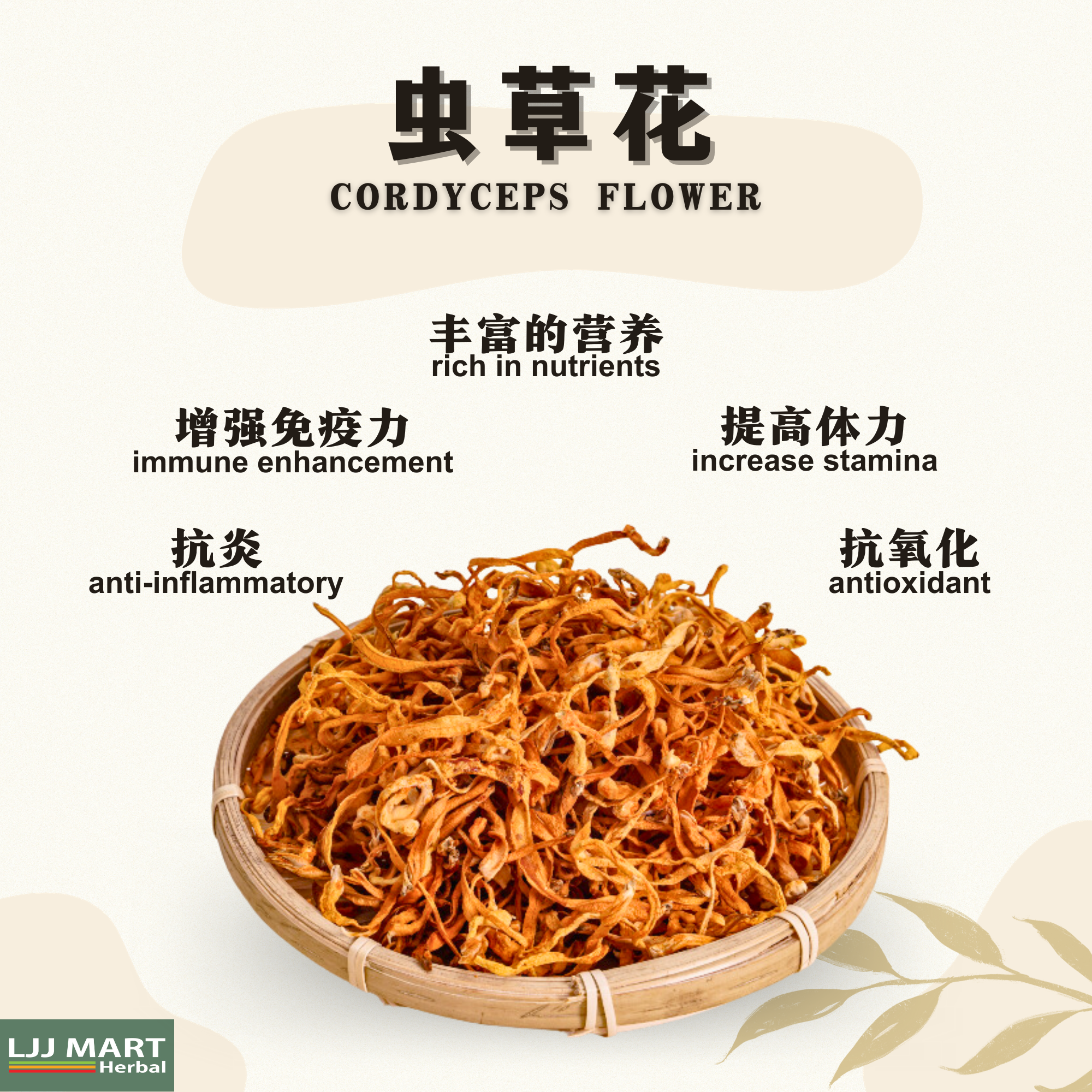 Cordyceps Flower 虫草花 100g