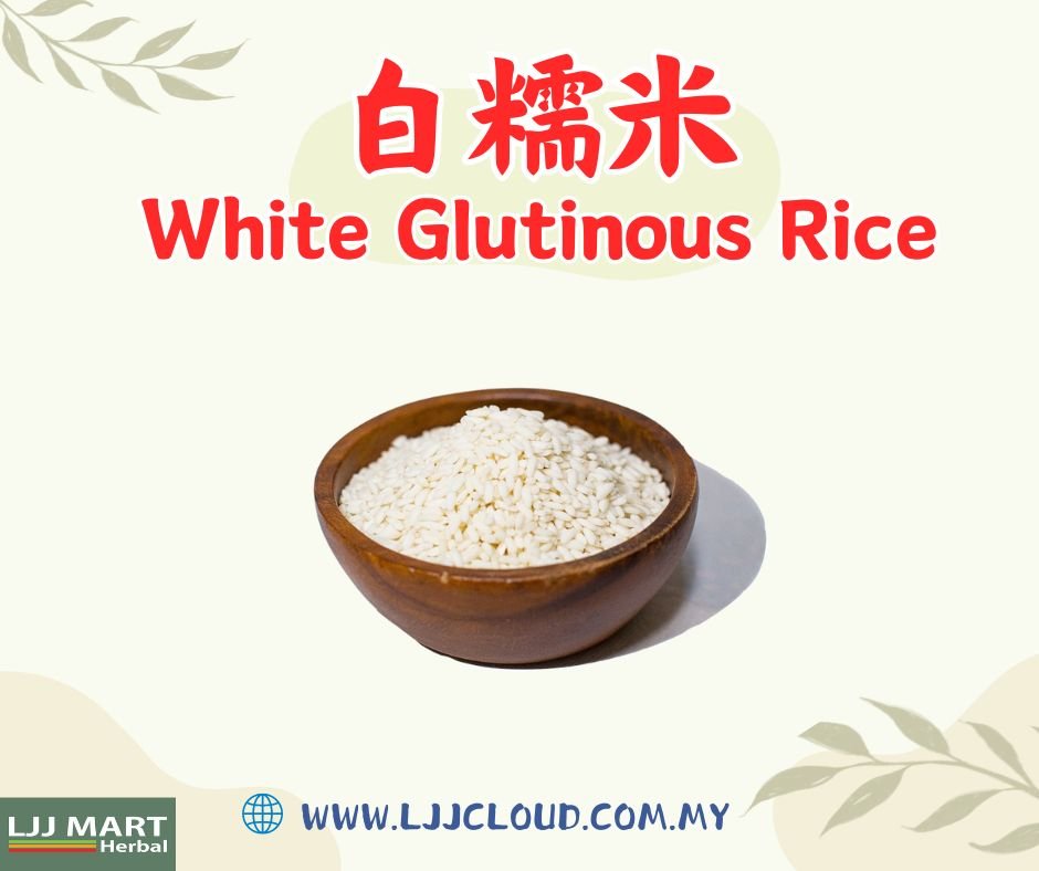 White Glutinous Rice 白糯米