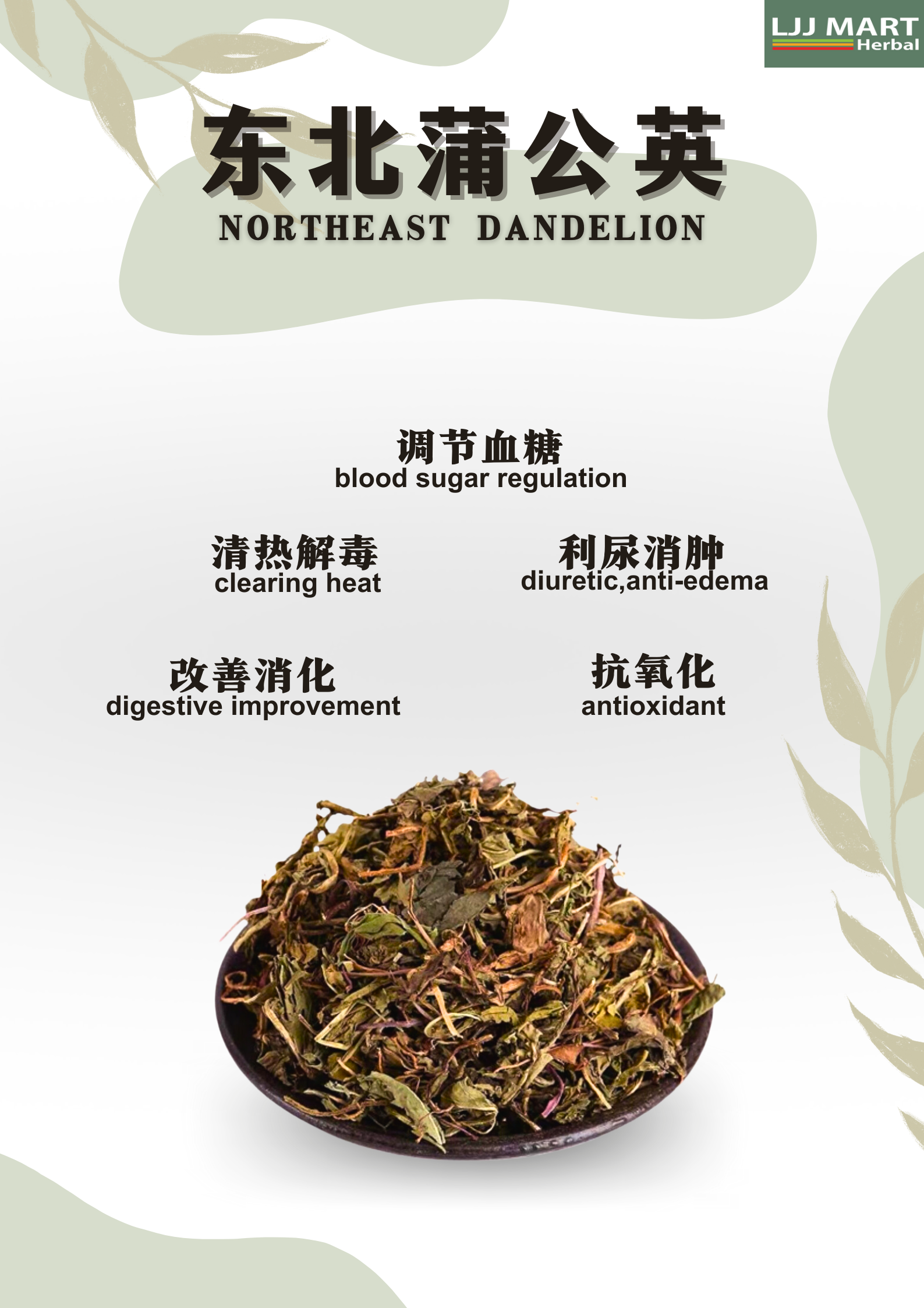 Northeast Dandelion 东北蒲公英 50g